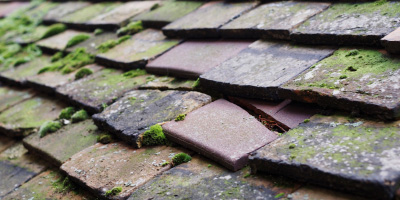 Newton Longville roof repair costs